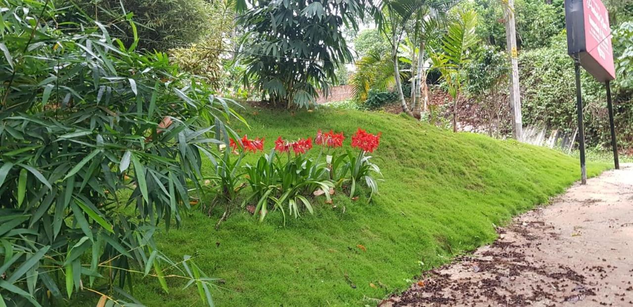 Wayanad Doubletree Villa Vithiri Kültér fotó
