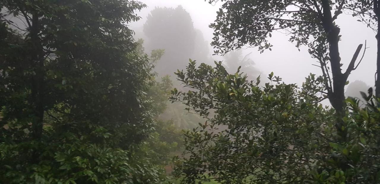 Wayanad Doubletree Villa Vithiri Kültér fotó