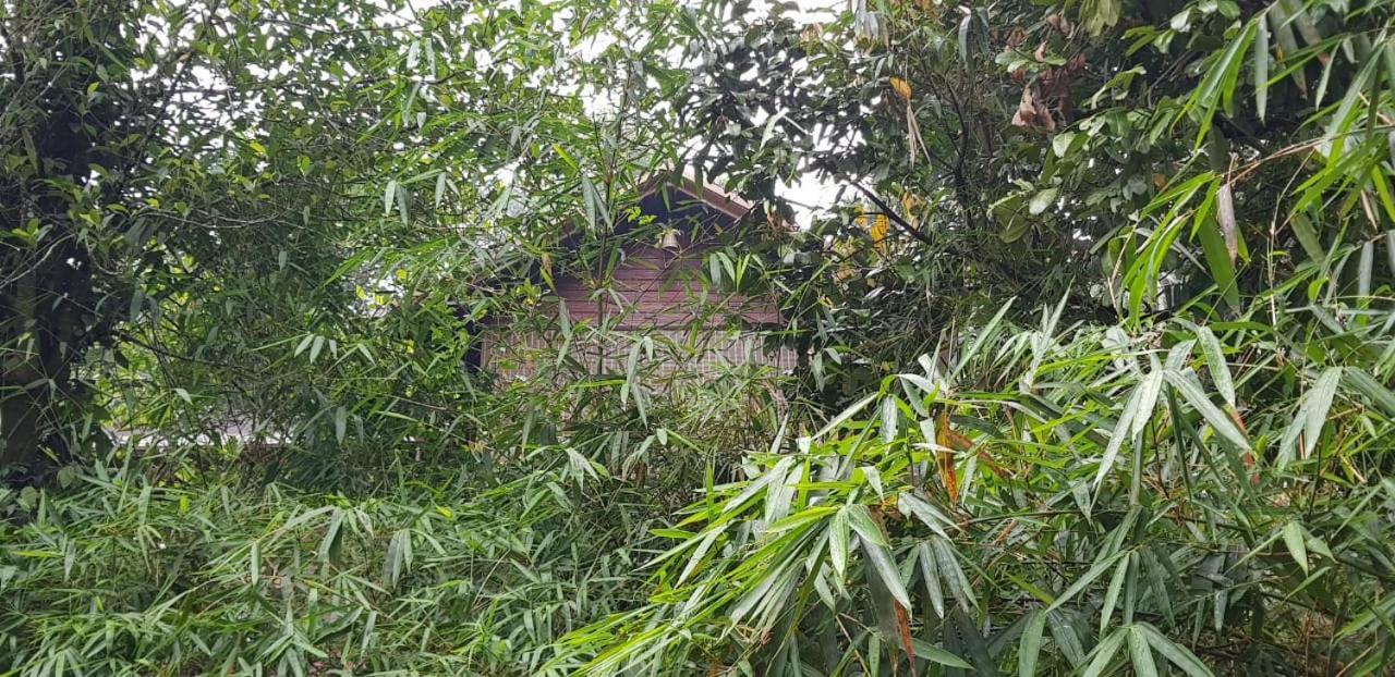 Wayanad Doubletree Villa Vithiri Kültér fotó