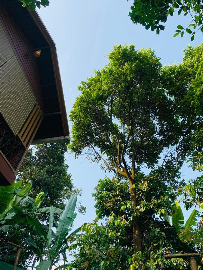 Wayanad Doubletree Villa Vithiri Kültér fotó