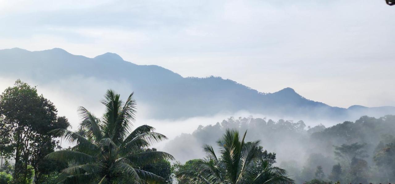 Wayanad Doubletree Villa Vithiri Kültér fotó